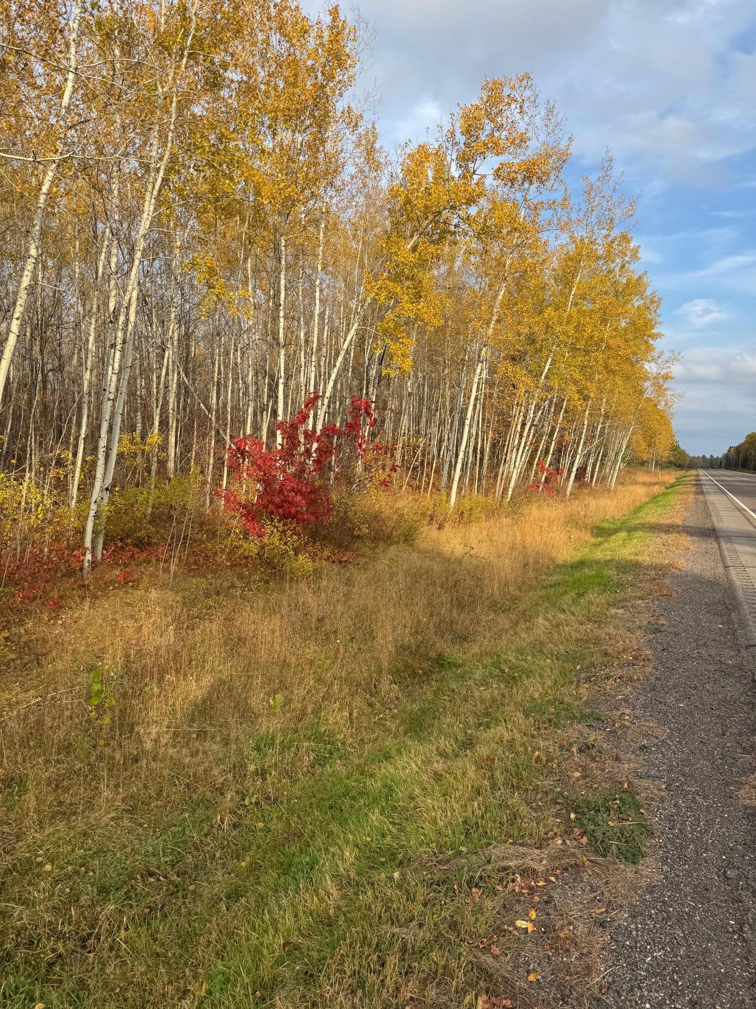 14 Acres State Highway 200