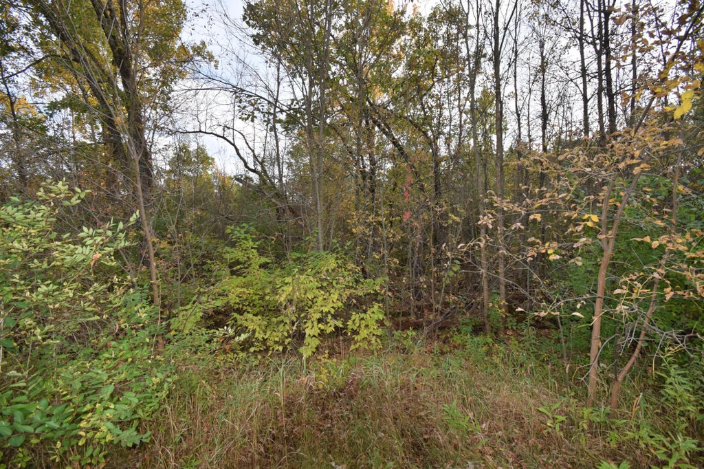 Photo of Lots 1-8 N Center Street, Danbury, WI 54830 (MLS # 7156049)