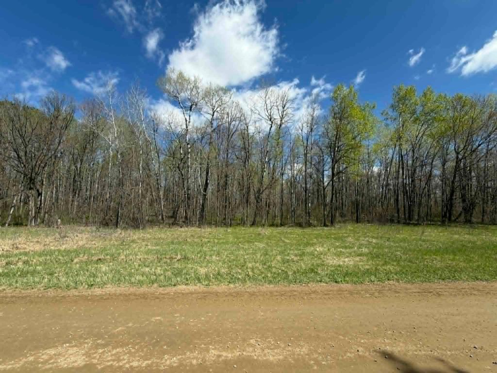 Photo of TBD Lamon Road NE, Bemidji, MN 56601 (MLS # 7081839)