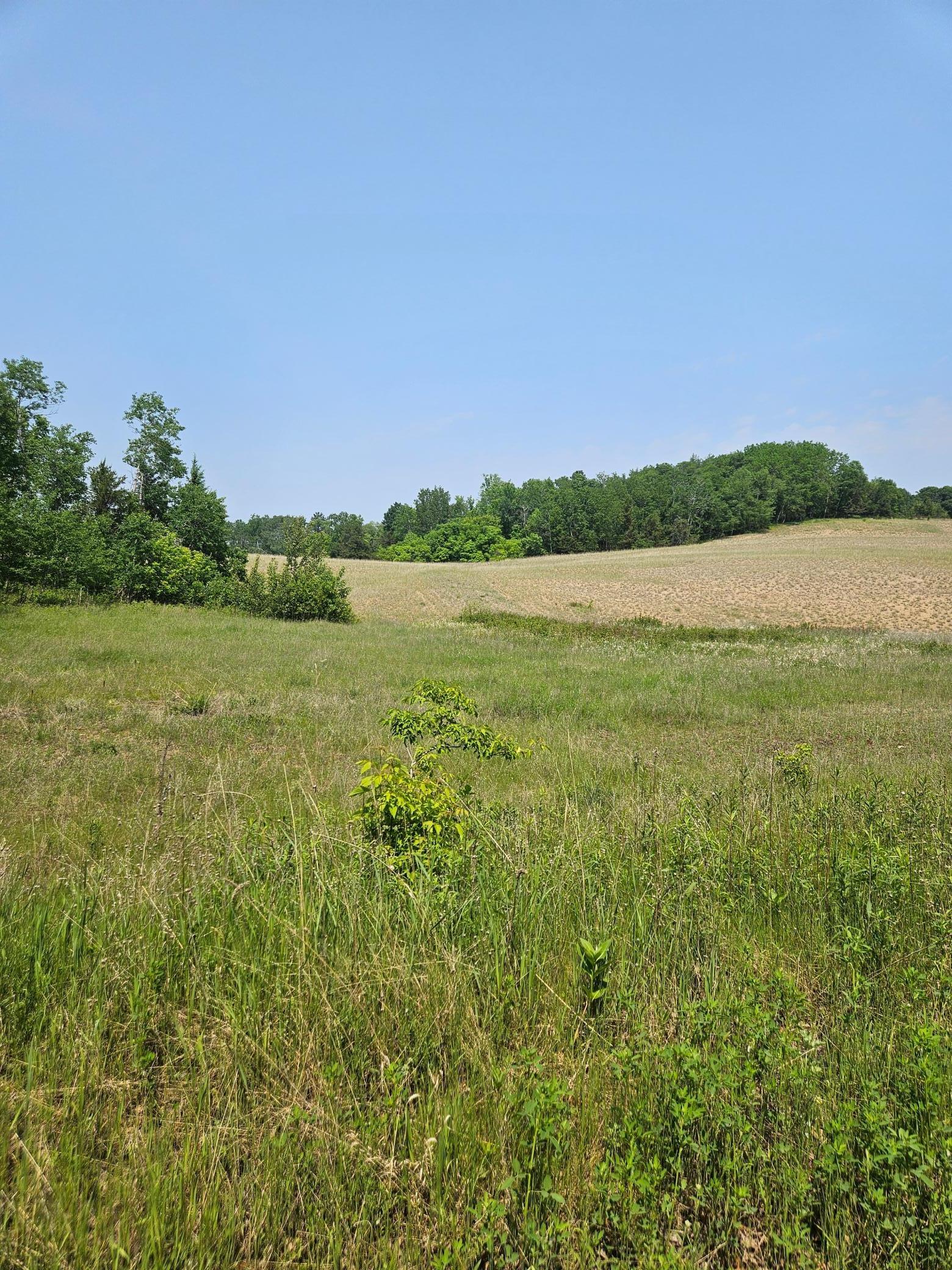 TBD 20 Acres Ranchette Drive