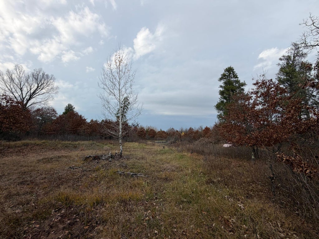 Photo of xxxx 280th Avenue, Saint Croix Falls, WI 54024 (MLS # 7166468)