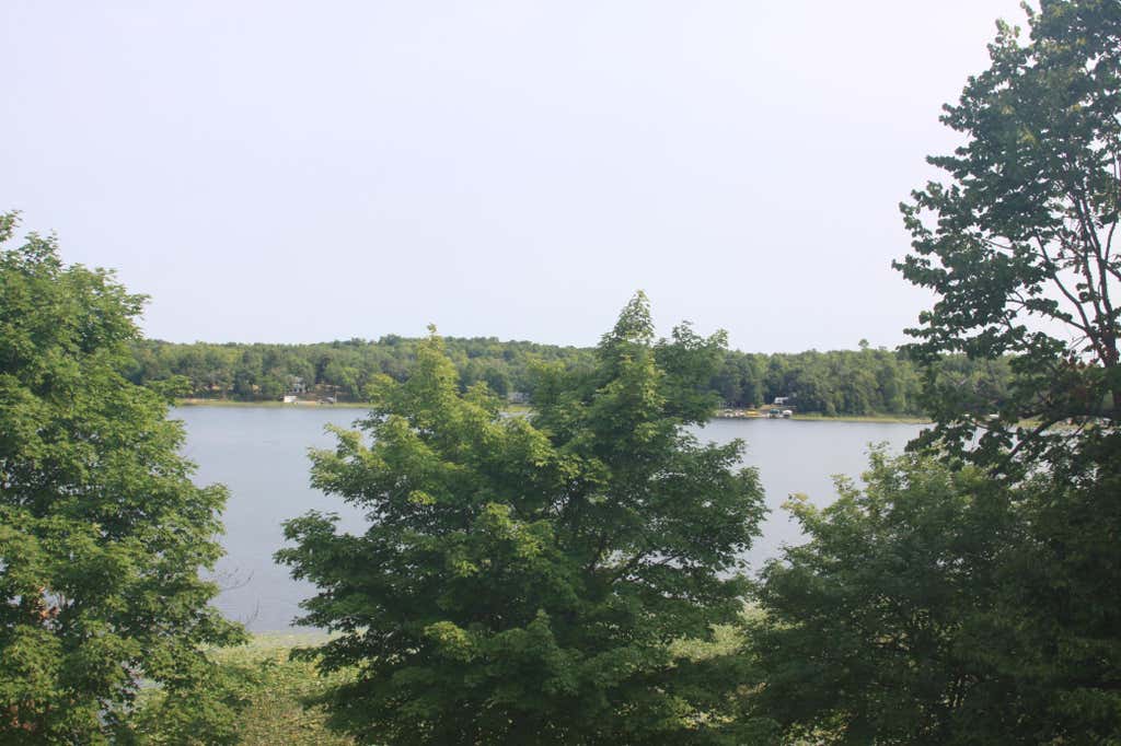Photo of 38173 County Highway 34 #0, Ogema, MN 56569 (MLS # 7126856)