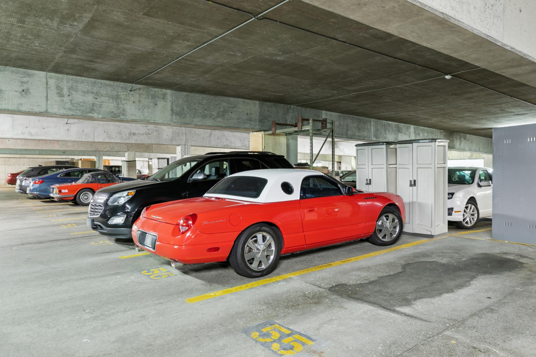 1181 Edgcumbe Road 501