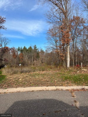 LOT 14 WILDERNESS HILLS LANE, LUCK, WI 54853 - Image 7c19b7d1d5b0cfb1c127114cfa6e9d19/2483196269