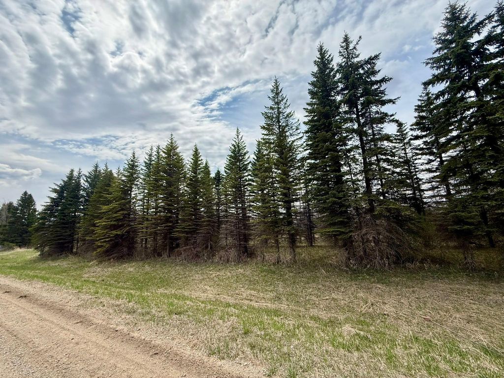 Photo of XXX 245th Ave, Glenwood, MN 56334 (MLS # 7065700)