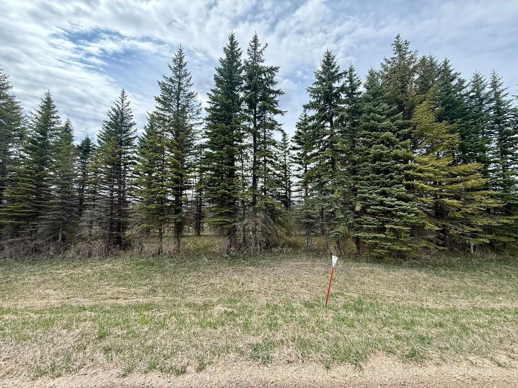 Photo of XXX 245th Ave, Glenwood, MN 56334 (MLS # 7065700)