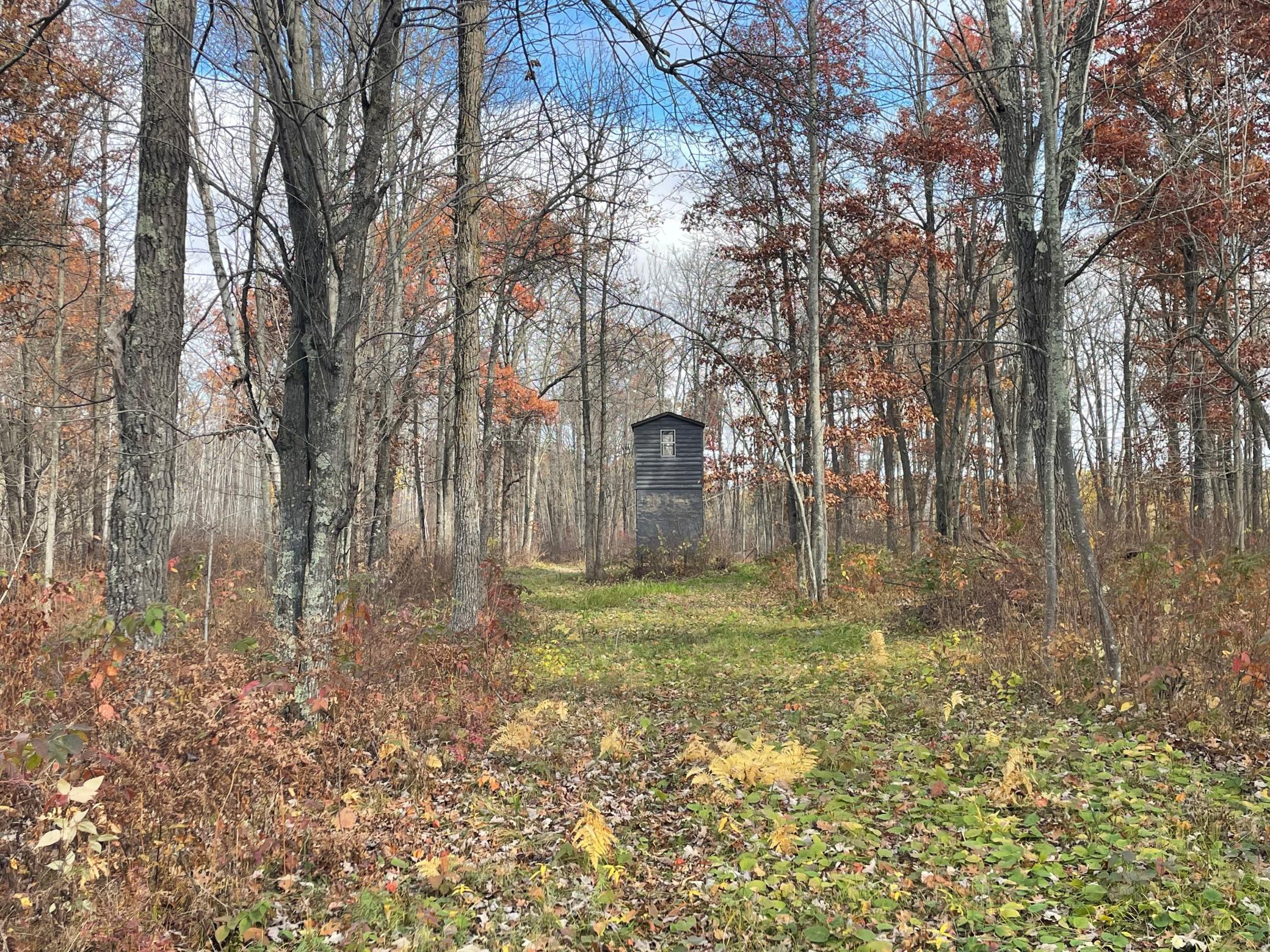 17005 County Road 11