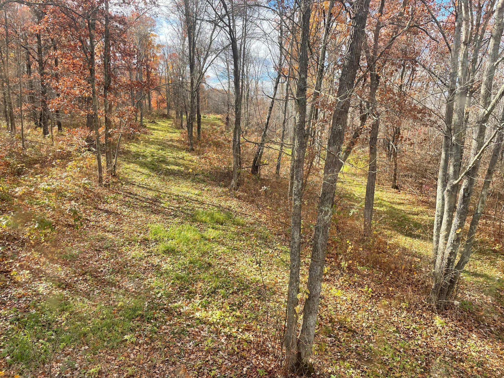 17005 County Road 11