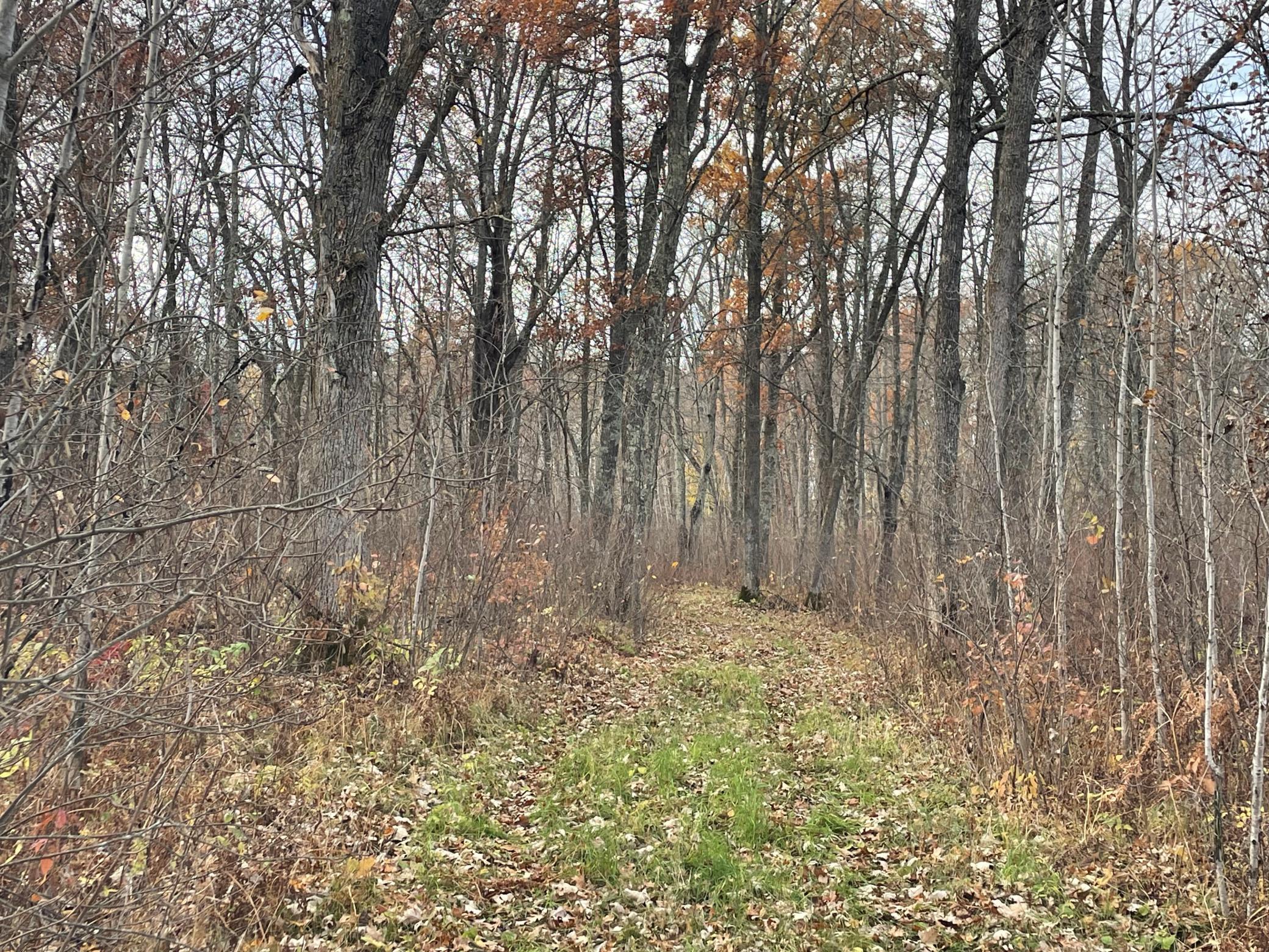 17005 County Road 11