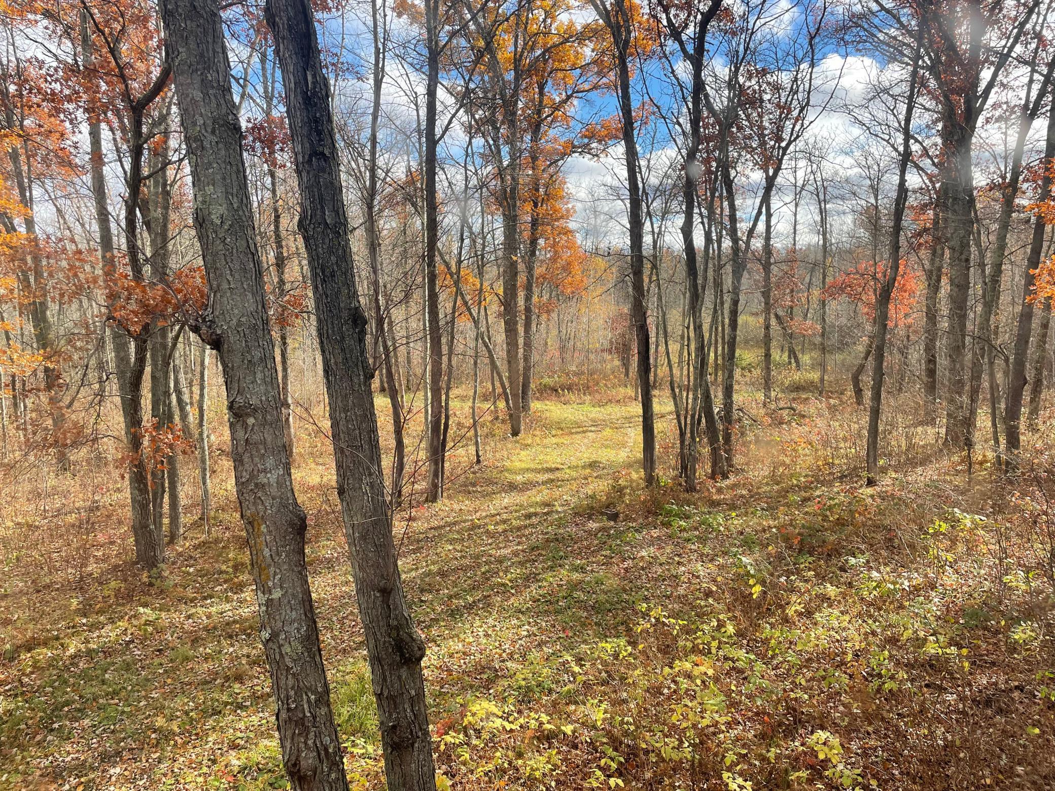 17005 County Road 11