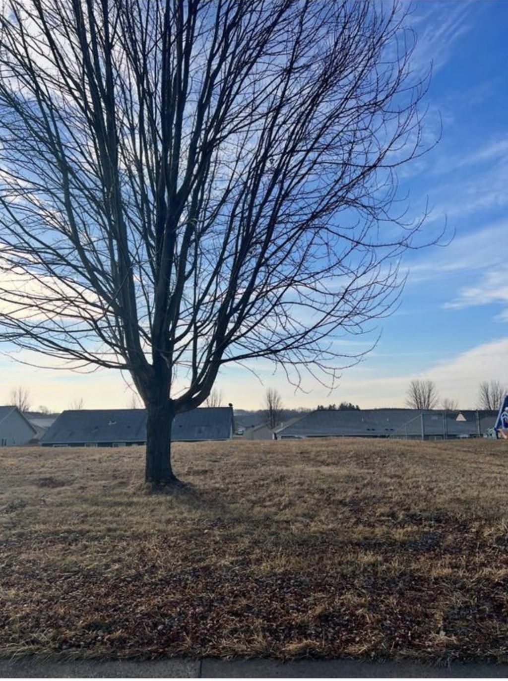 Photo of 288 Birch Street, Baldwin, WI 54002 (MLS # 7043983)