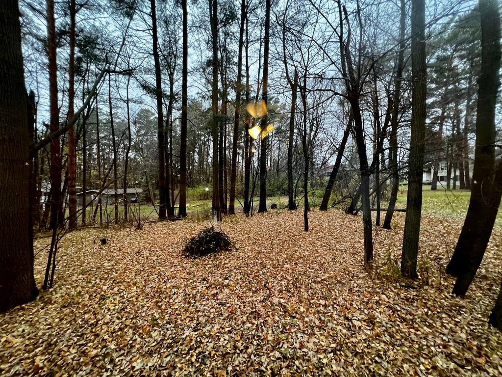 Photo of 1113 2nd Avenue, Howard Lake, MN 55349 (MLS # 6824420)