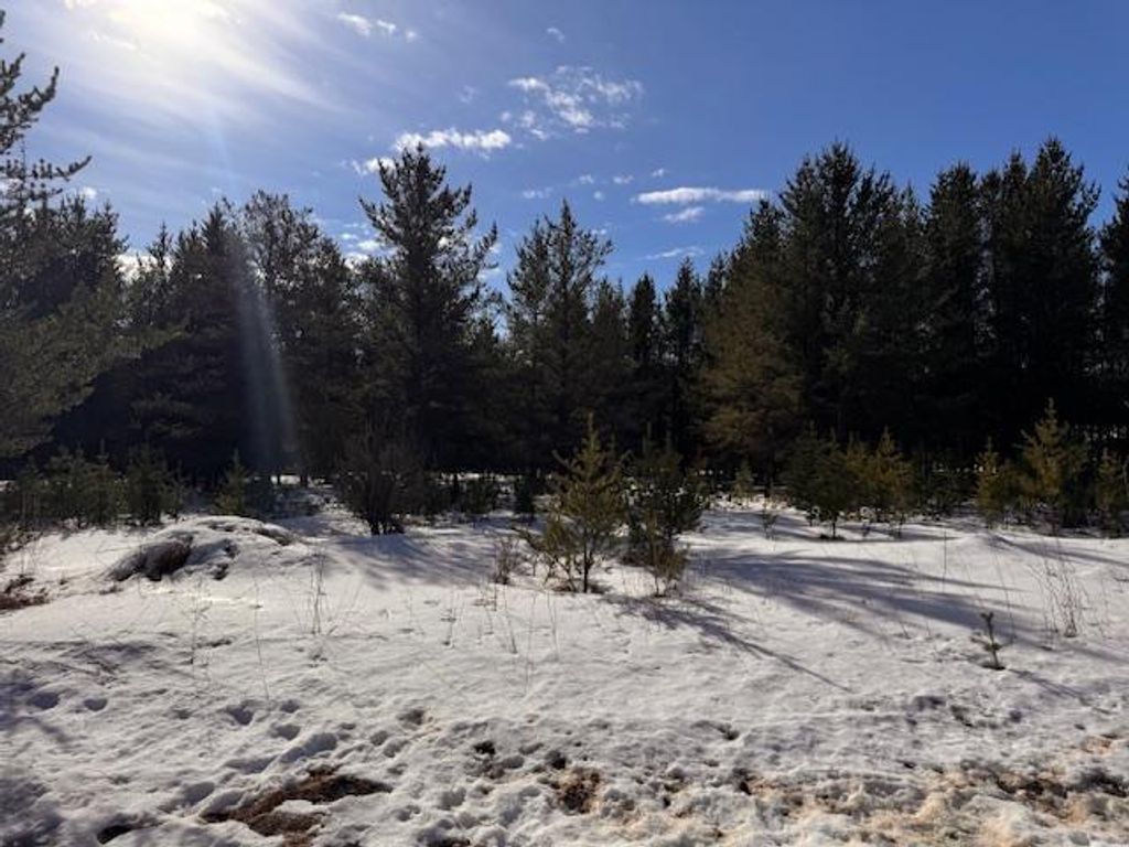 Photo of TBD Pine Cone Dr, Menahga, MN 56464 (MLS # 7022927)
