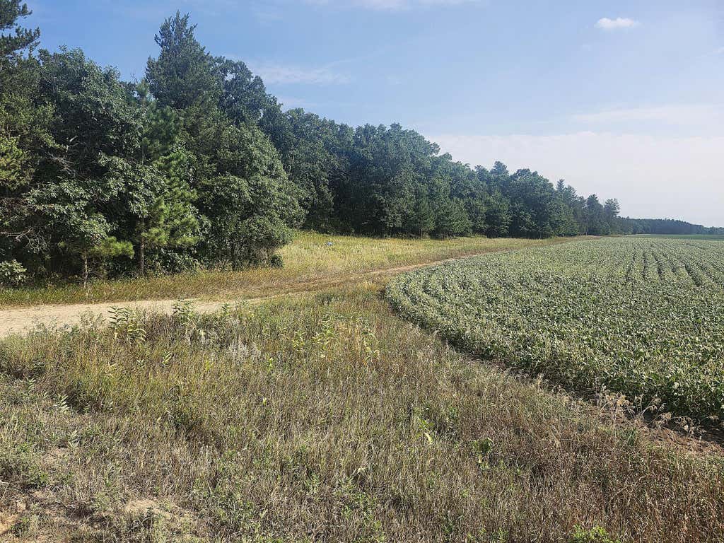 Photo of TBD 400th Street, Browerville, MN 56438 (MLS # 7127638)