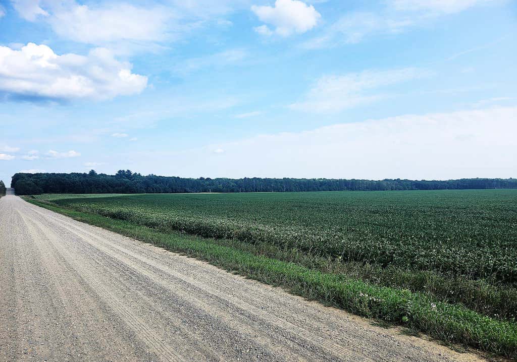 Photo of TBD 400th Street, Browerville, MN 56438 (MLS # 7127638)
