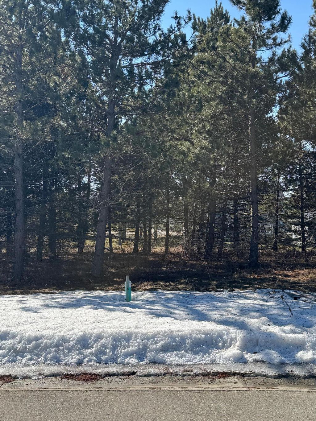 Photo of 1933 Long Pine Drive, Detroit Lakes, MN 56501 (MLS # 7041494)