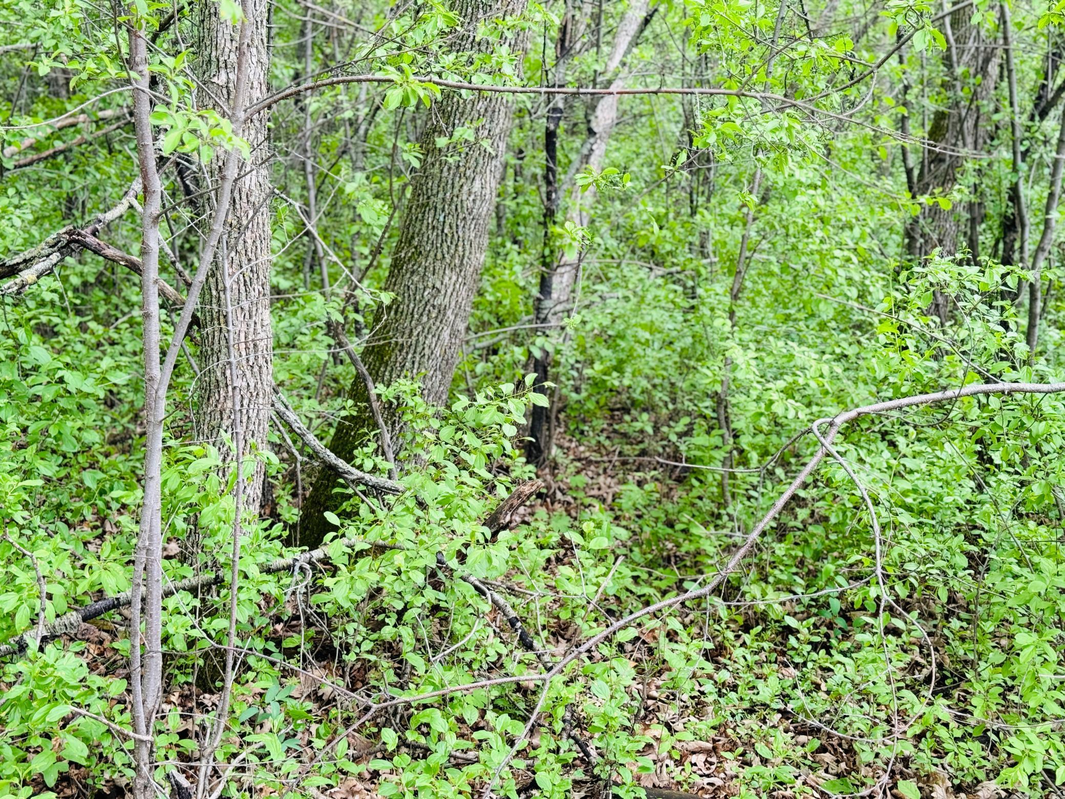 Lot 3 Canterbury Sands Trail