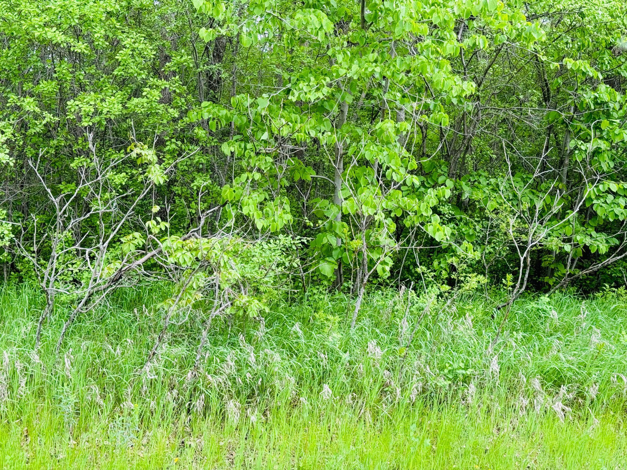 Lot 3 Canterbury Sands Trail