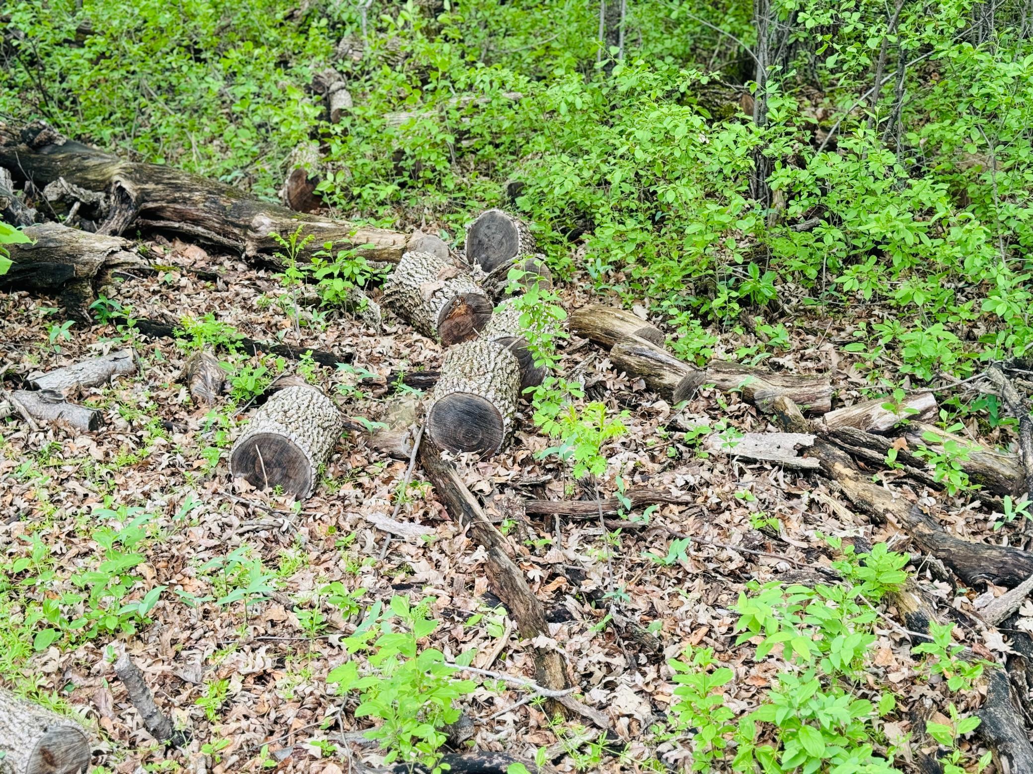 Lot 3 Canterbury Sands Trail