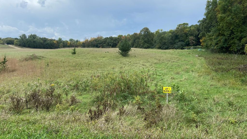 Photo of L1 B2 83rd Street NE, Spicer, MN 56288 (MLS # 7007819)