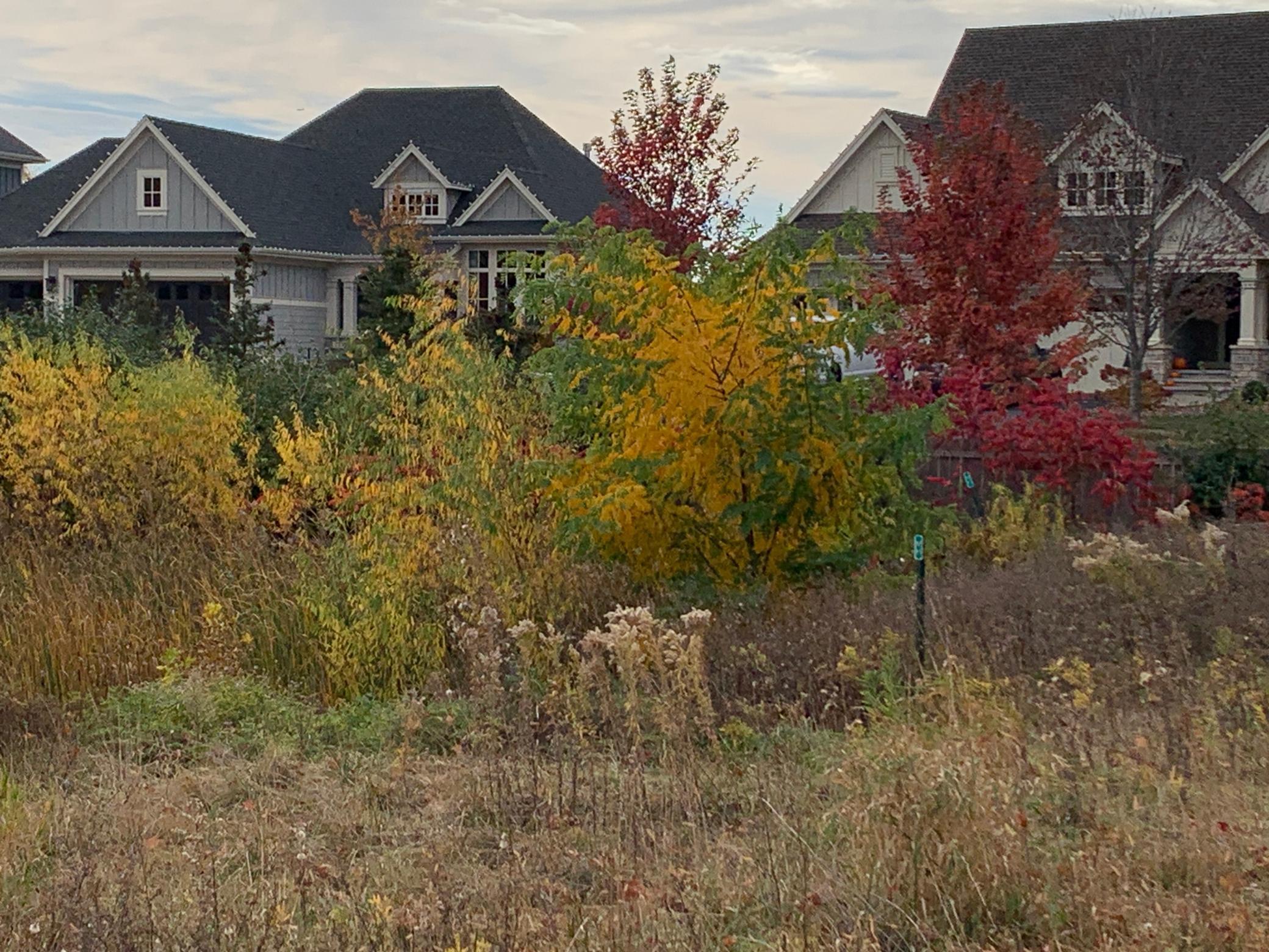 701 Shawnee Woods Road