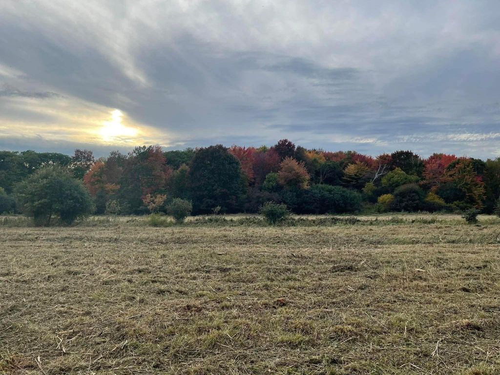 Photo of 21333 Durant Street NE, East Bethel, MN 55011 (MLS # 7028431)