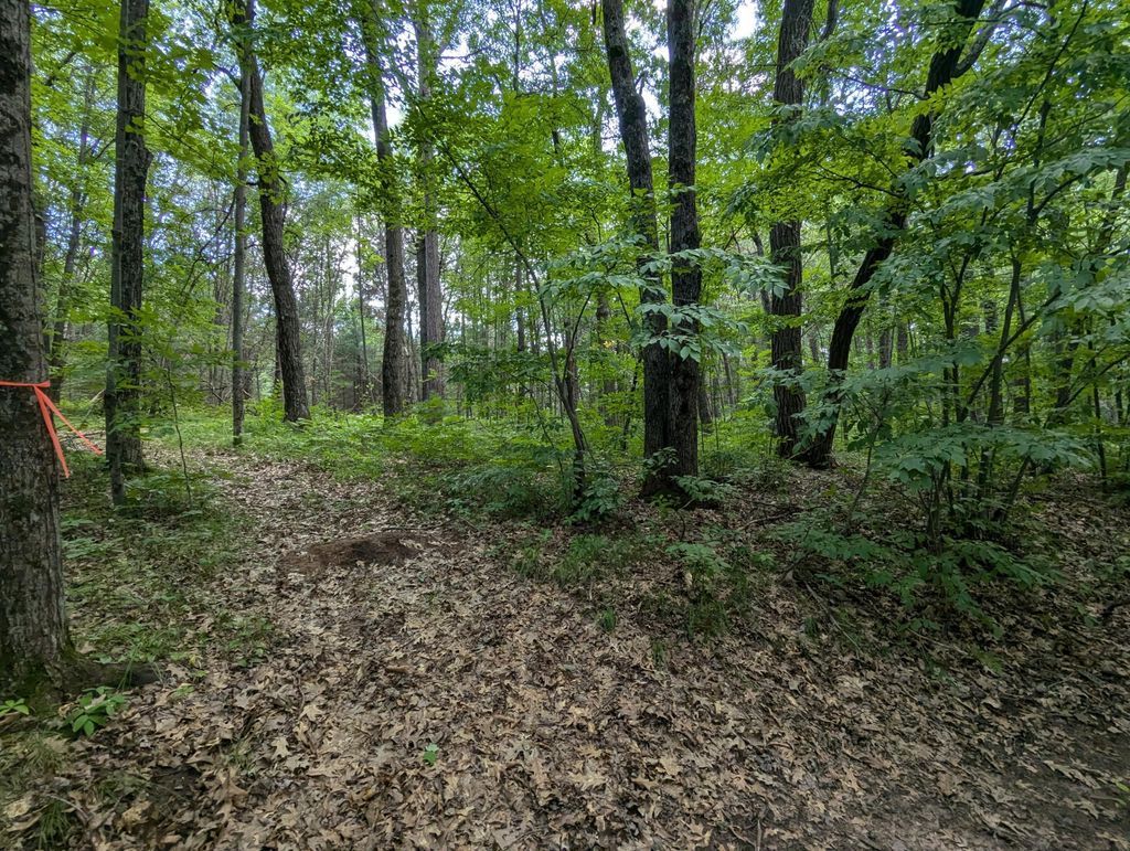 Photo of Lot 5 Fosmo, Webster, WI 54893 (MLS # 7041613)