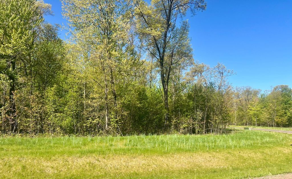 Photo of TBD Legacy Drive, Eau Claire, WI 54703 (MLS # 7074744)