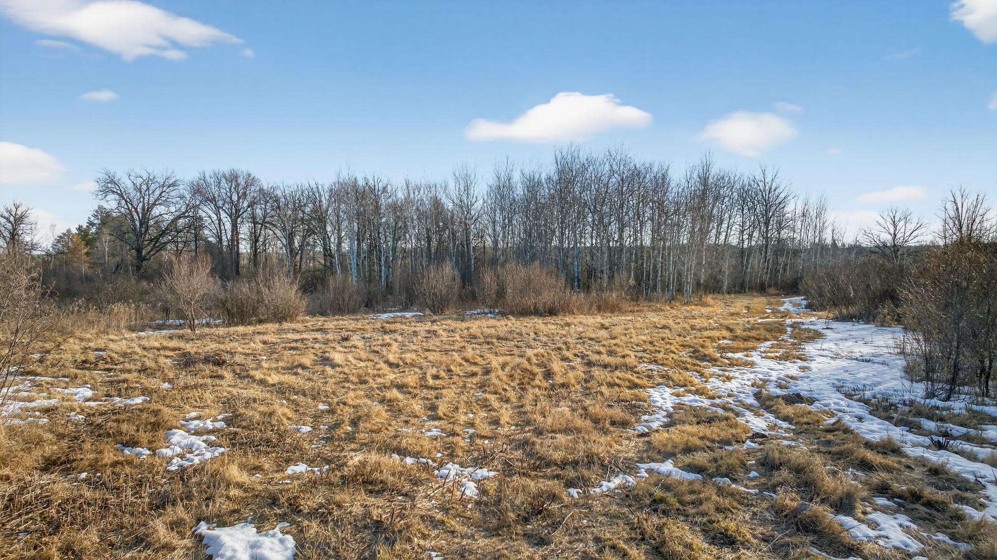 TBD Coneflower Drive SW