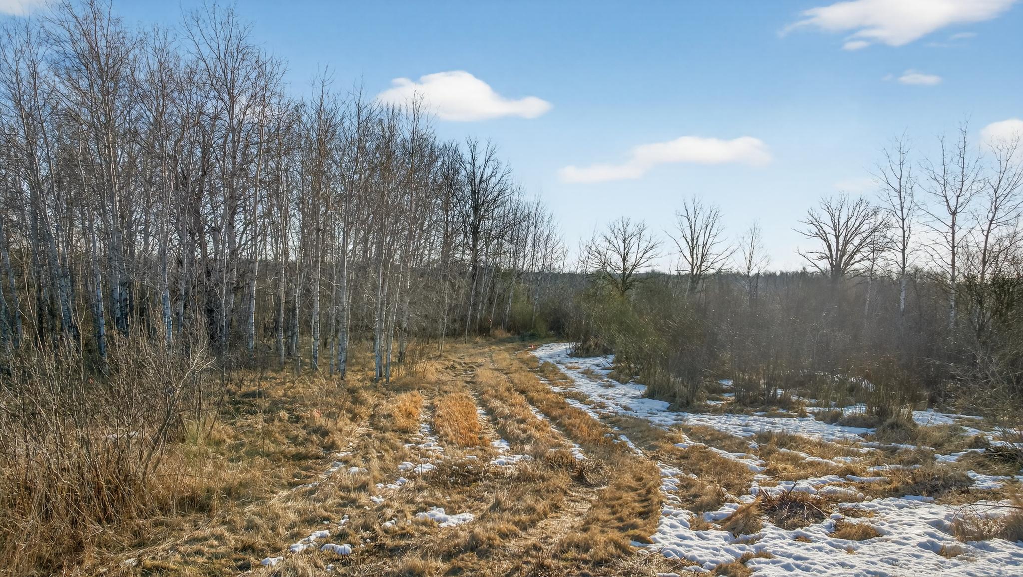 TBD Coneflower Drive SW