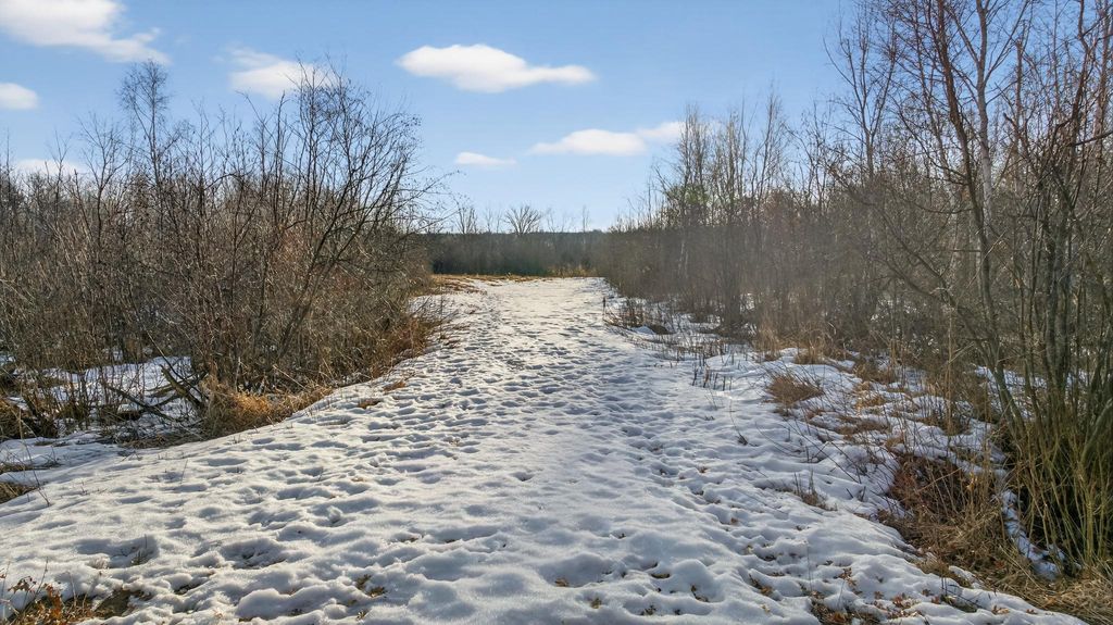 Photo of TBD Coneflower Drive SW, Pine River, MN 56474 (MLS # 7034593)
