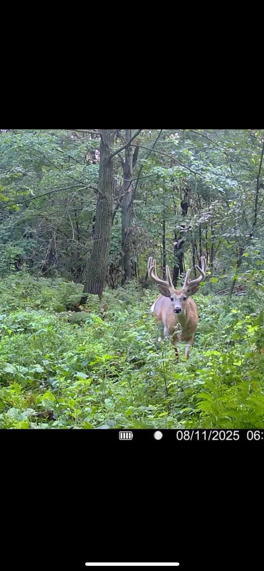 Photo of xxx Hwy. 52, Fountain, MN 55935 (MLS # 7021350)