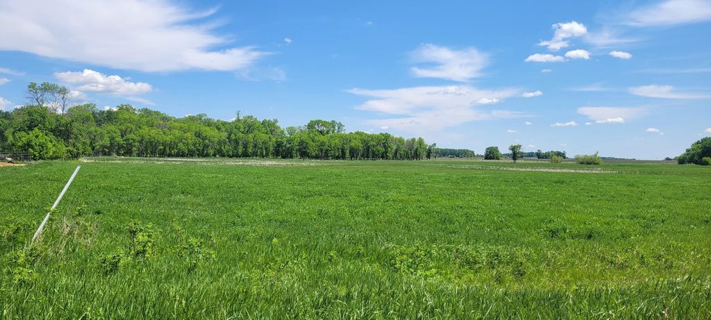 Photo of XXX 455th Avenue, New Auburn Twp, MN 55307 (MLS # 6821685)