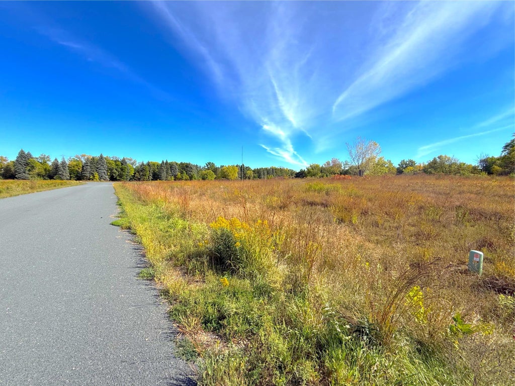 Photo of Lot 4 Blk 1 78th Street NW, South Haven, MN 55382 (MLS # 7149651)