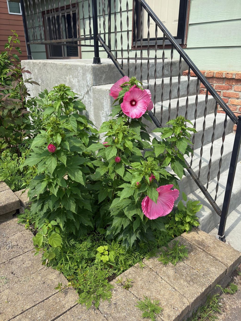 Photo of 16826 Excelsior Boulevard, Minnetonka, MN 55345 (MLS # 7010241)