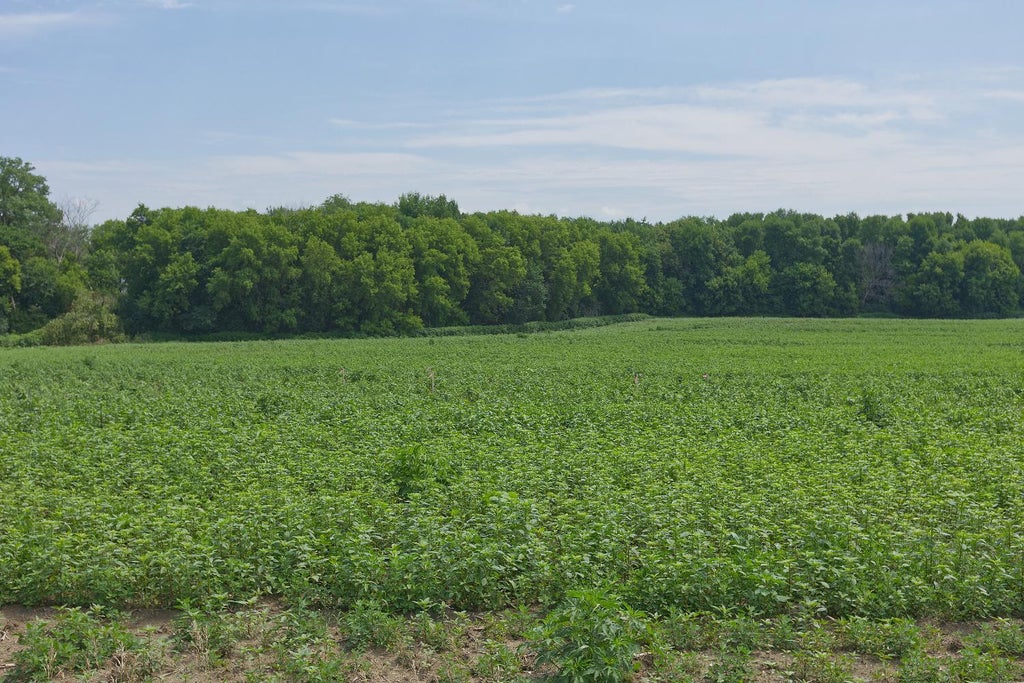 Photo of TBD Ingram Avenue SW, Howard Lake, MN 55349 (MLS # 7110482)