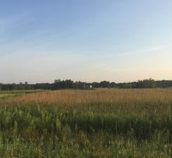 Photo of 8354 169th Avenue NE, Forest Lake, MN 55025 (MLS # 7162568)