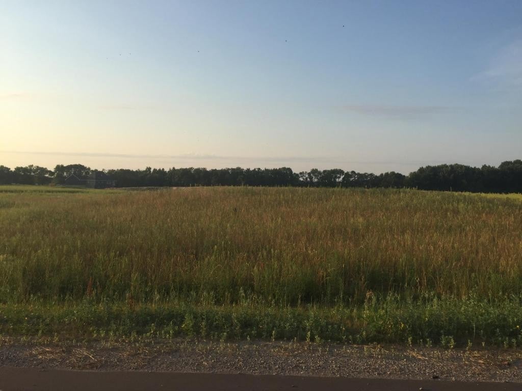 Photo of 8354 169th Avenue NE, Forest Lake, MN 55025 (MLS # 7162568)