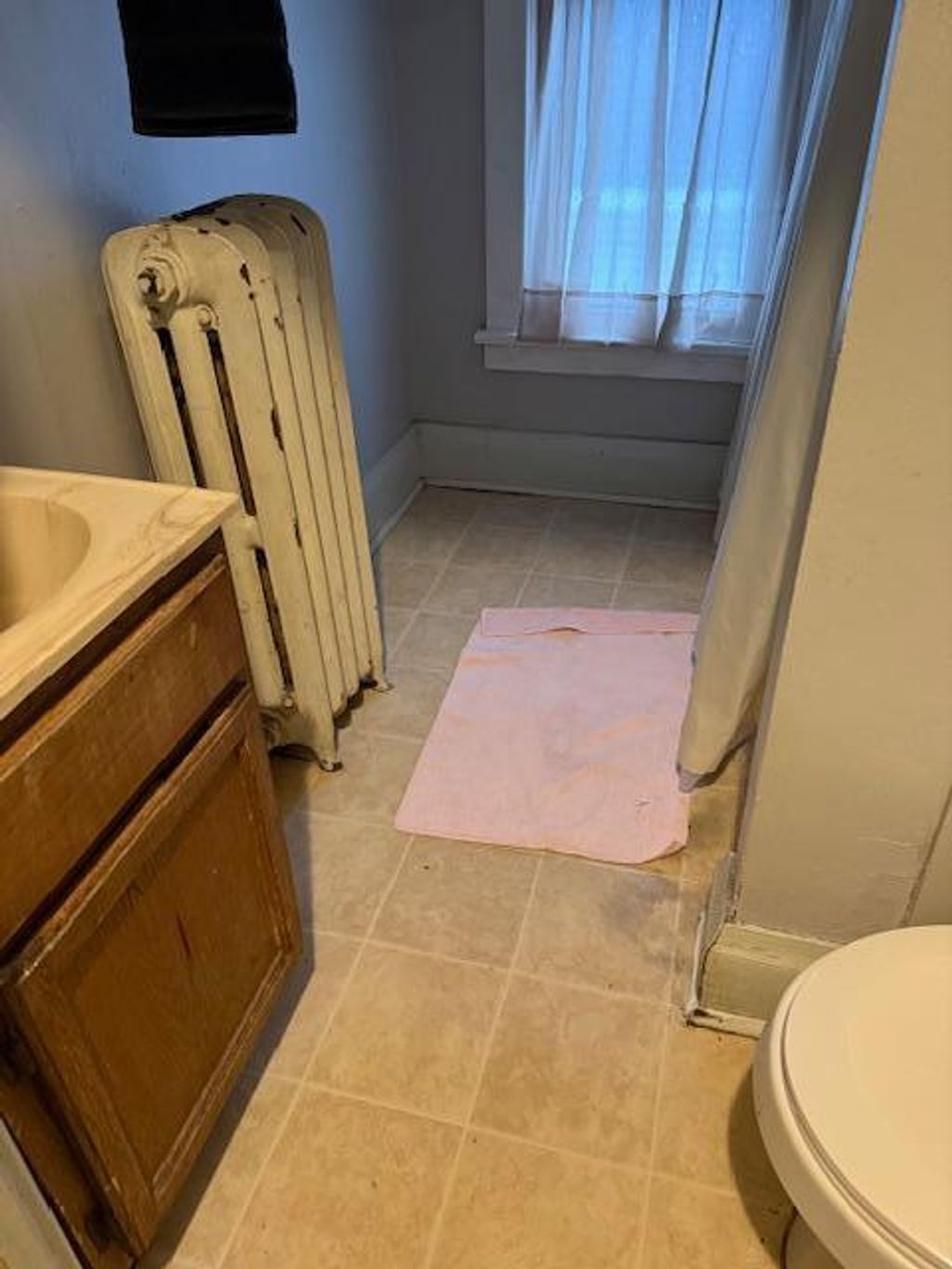 Photo of 210 7th Avenue NE, Waseca, MN 56093 (MLS # 6822587)