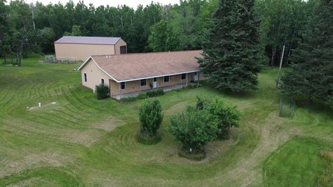 1107 Center Road Beseman Twp MN 55798