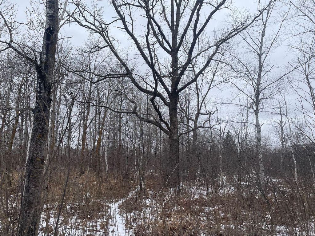 Photo of 27XX 320th Avenue, Brook Park, MN 55007 (MLS # 7035089)