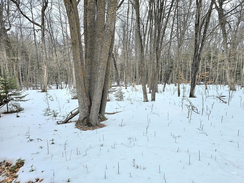 Photo of 4988 32nd Avenue NE, Remer, MN 56672 (MLS # 7021954)