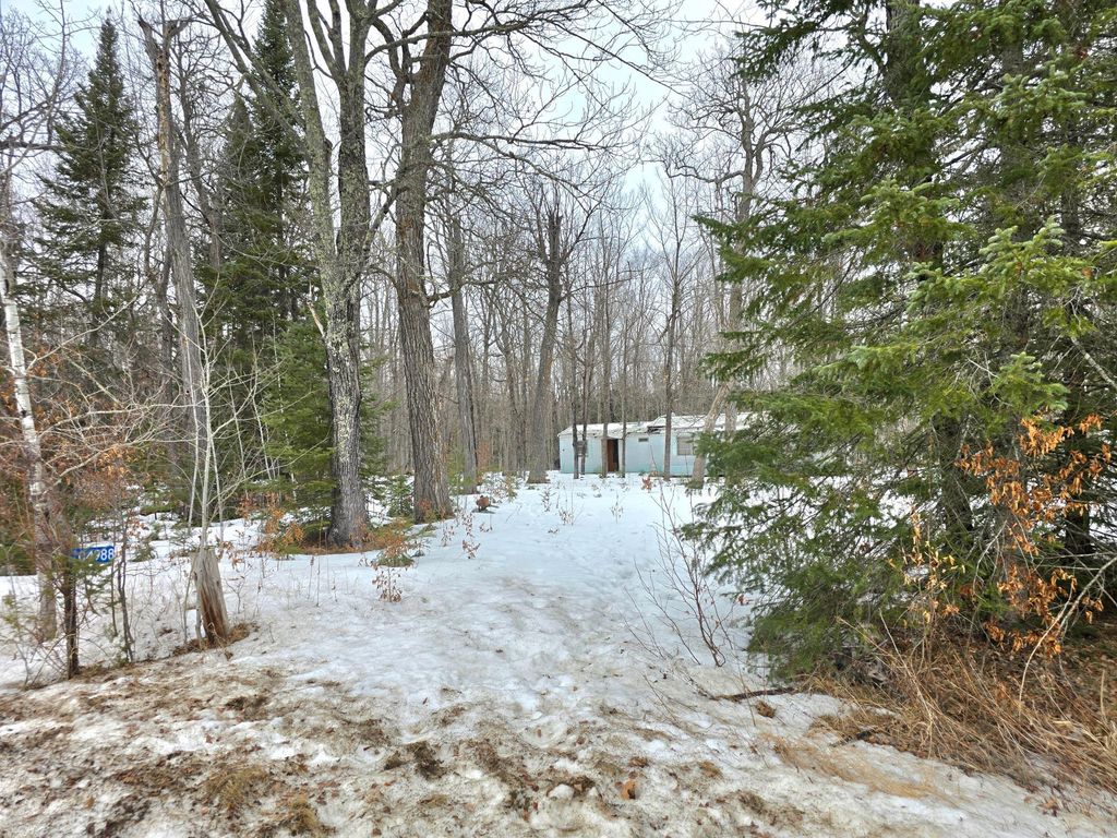 Photo of 4988 32nd Avenue NE, Remer, MN 56672 (MLS # 7021954)