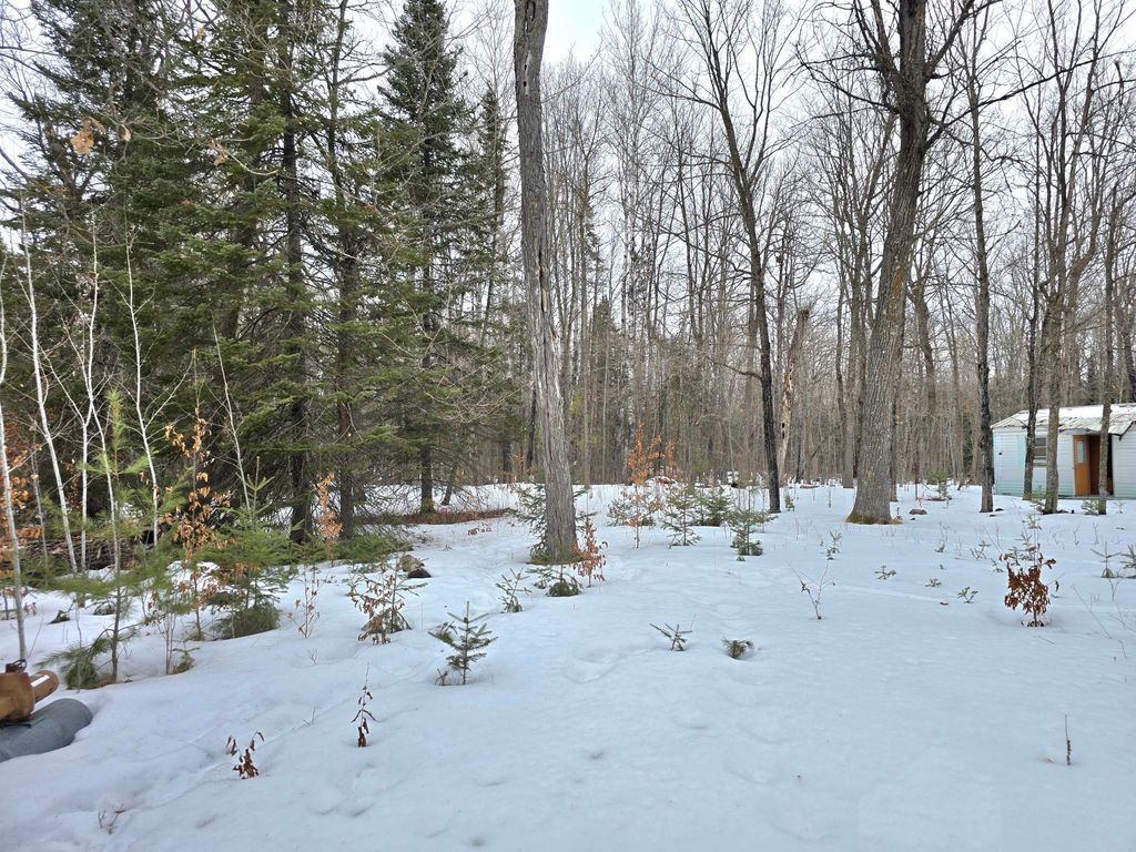 Photo of 4988 32nd Avenue NE, Remer, MN 56672 (MLS # 7021954)