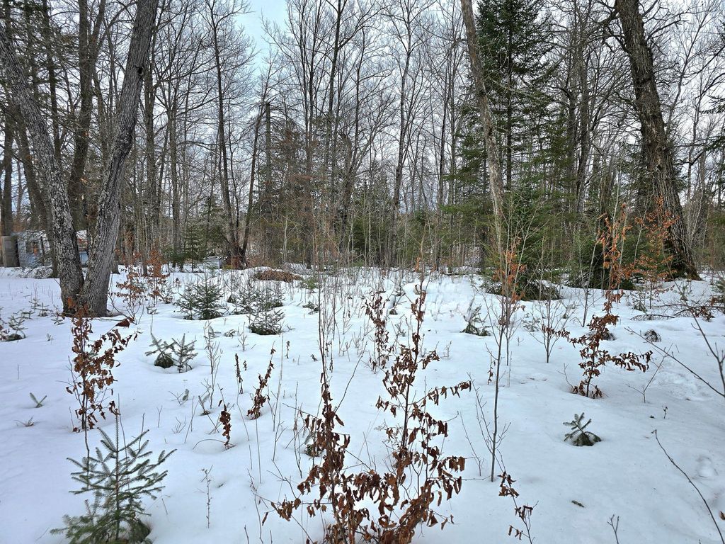 Photo of 4988 32nd Avenue NE, Remer, MN 56672 (MLS # 7021954)