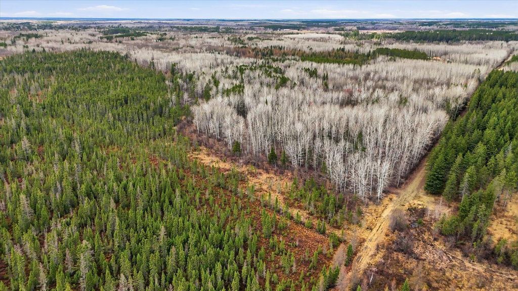 Photo of TBD Town Road #55 AVE, Big Falls, MN 56627 (MLS # 7032979)