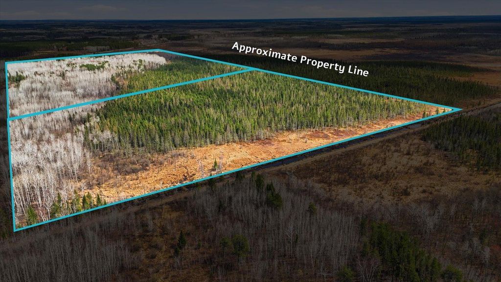 Photo of TBD Town Road #55 AVE, Big Falls, MN 56627 (MLS # 7032979)