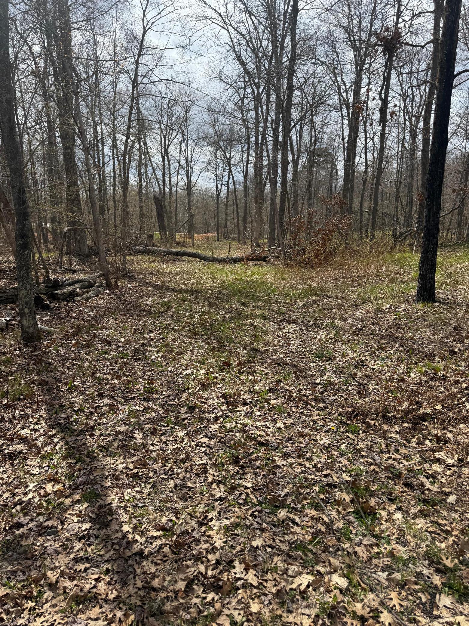 TBD County Road 16