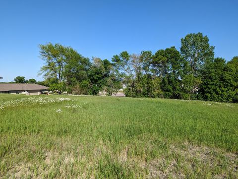 Photo of tbd Lake Chapeau Drive, Albert Lea, MN 56007 (MLS # 6378049)