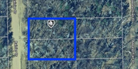 30XXX Rainier Drive Breezy Point MN 56472